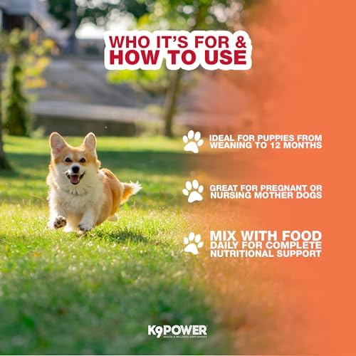 K9Power Puppy Gold 3lb – Puppy Supplement for Growth & Development – Also Supports Pregnant & Nursing Mothers – Colostrum, DHA, Glucosamine, Collagen, Probiotics, Creatine, Milk Protein, Salmon Oil