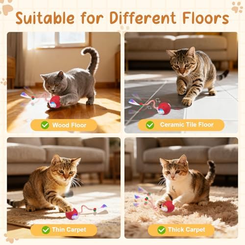 Interactive Cat Ball Toy, Motion Activated Electric Rechargeable Cat Toy