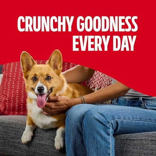 Milk-Bone Flavor Snacks Small Dog Biscuits, 60 oz Boxes