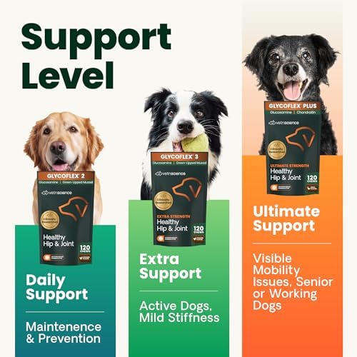VetriScience Extra Strength Healthy Hip & Joint-Chews, GlycoFlex Glucosamine & Green-Lipped Mussel Joint Support Supplement for Small Breed Dogs,Soothe Joint Discomfort,Chicken 60 Count(Pack of 2)