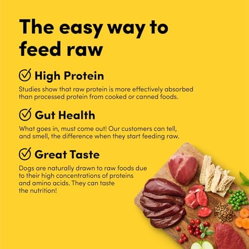 RawMix 50 Beef Freeze-Dried Dog Food, 2 lb