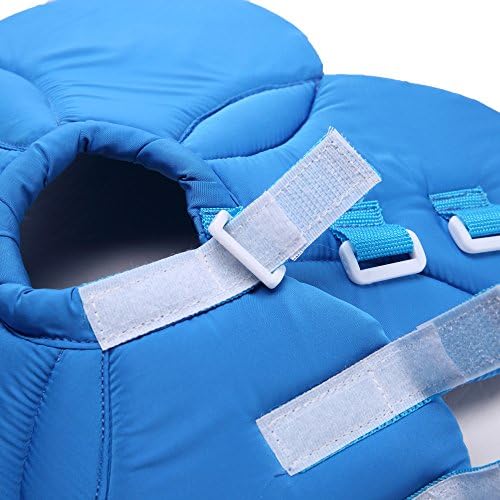 Elizabethan Collar, Soft & Waterproof Grooming & Recovery Collar for Puppy & Small Medium Dogs (L Neck:13-15in, Blue)