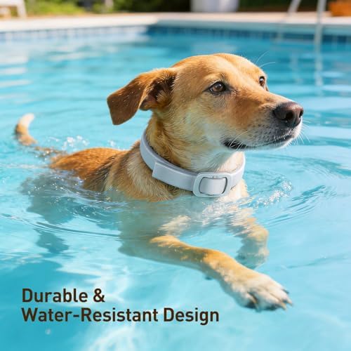 Flea and Tick Collar for Dogs 4 Packs,Dog Collars with Natural Essential Oils,Waterproof, Adjustable for Small Medium Large Dogs,Safe for Puppies