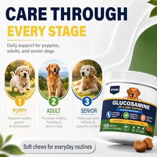 Hip and Joint Supplements for Dogs - Glucosamine for Dogs with Chondroitin, Turmeric & MSM - Joint Pain Relief and Hip Support - All Ages and Breeds - 120 Chews