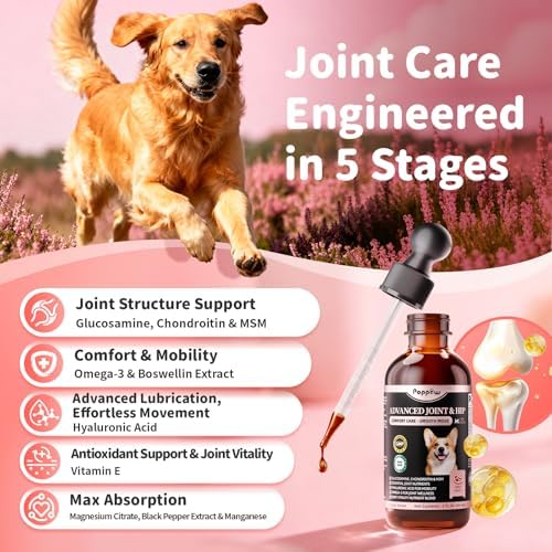 Joint Supplement for Dogs - 10 in 1 Hip and Joint Supplement Drops with Hyaluronic Acid, Liquid Glucosamine for Dogs with Chondroitin, MSM & Omega 3-2 FL.Oz - for All Breeds & Sizes