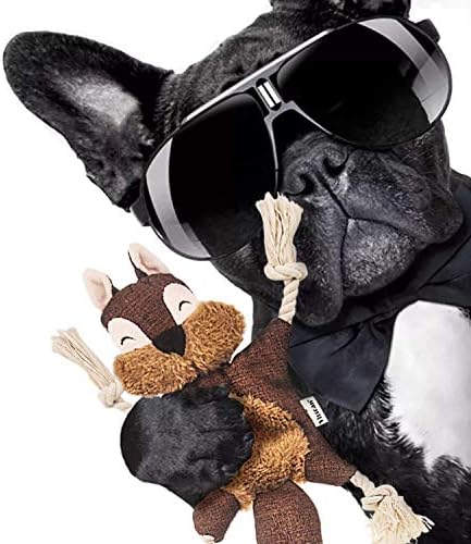 Vitscan Crinkle Dog Toy, No Stuffing Puppy Toys, Cotton Rope Limbs Stuffless Dog Toy with Squeaker, Plush Body Parts Squirrel Dog Squeaky Toys for Small Dog Chew Toys