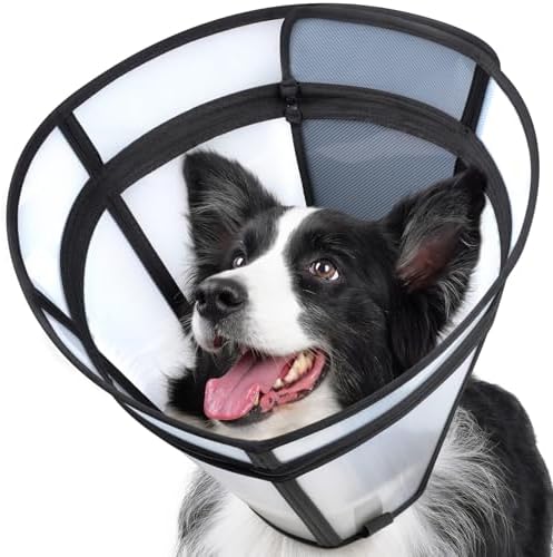 Transparent Dog Cone Recovery Collar, Adjustable Length