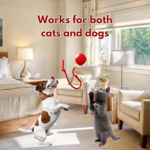 Speedy Tail 2.0 Cat Toy, 360°Automatic Rolling Ball, Smart Interactive Cat Toy, Smart Jumping Ball for Dogs, Speedy Tail 3.0, Automatic Dog Walker (Red)
