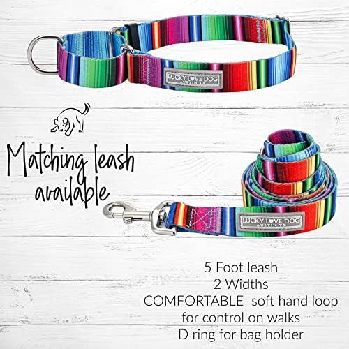 Lucky Love Dog Martingale Collar for Large Dogs No Slip Cute – Nacho, Large