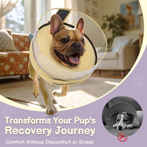 Inflatable Dog Cone with Clear Shield for Added Coverage