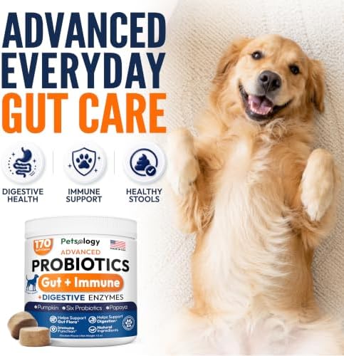 Probiotics for Dogs - 170 Dog Probiotics Chews - Digestive Enzymes Support