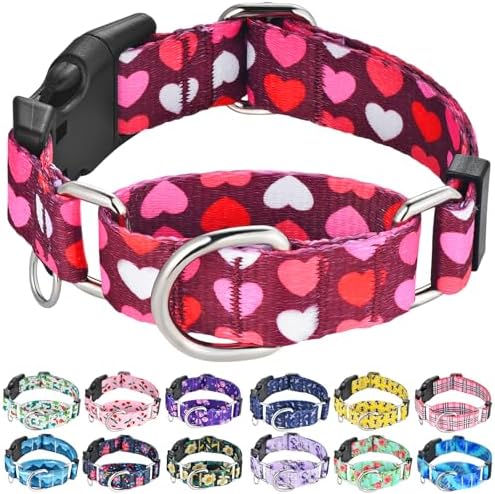 Valentines Martingale Dog Collar Pink Burgundy Heart Love, Small