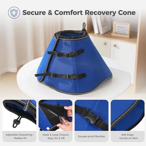 Avont Upgraded Dog Cone Collar Alternative After Surgery to Stop Licking-L