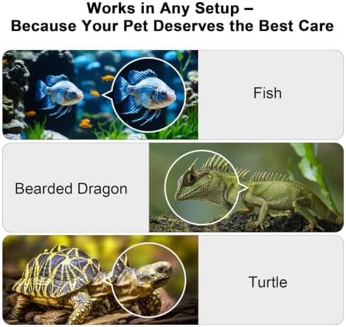 2K AI Reptile & Aquarium Camera with Wide-Angle Lens