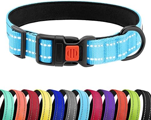 Reflective Dog Collar, Quick-Release Buckle (Light Blue, 10-13 Inch)