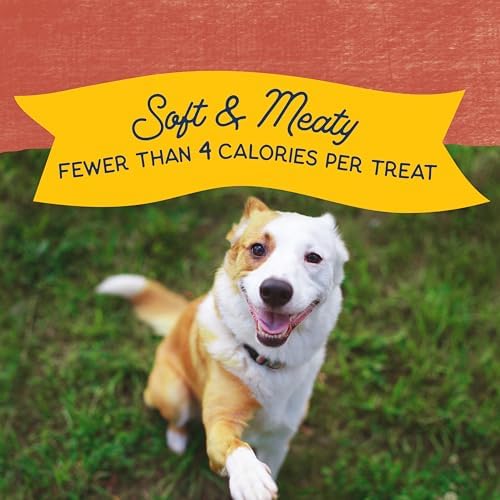 Natural Balance Limited Ingredient Mini-Rewards Salmon Grain-Free Dog Training Treats for Dogs | 5.3 Ounce Canister (Pack of 2)