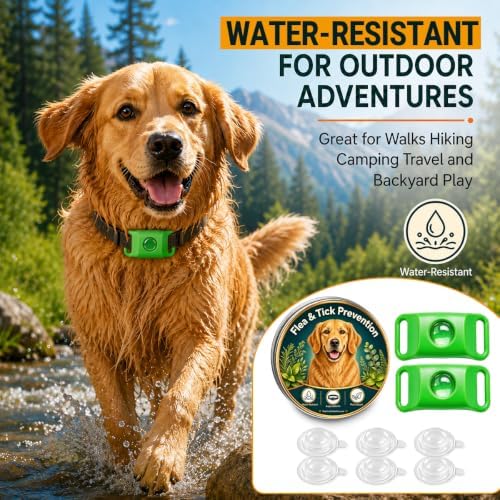 Flea and Tick Prevention Pendant for Dogs, Natural Dog Flea and Tick Collar Alternative with 2 Pendants and 6 Extra Refills, Easy to Use Lightweight, Up to 30 Days Protection, Collar Not Included