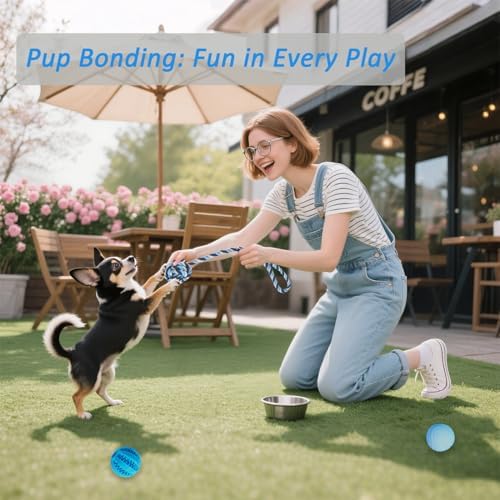 20 Pack Luxury Puppy Teething Chew Toys for Small Dogs and Puppies
