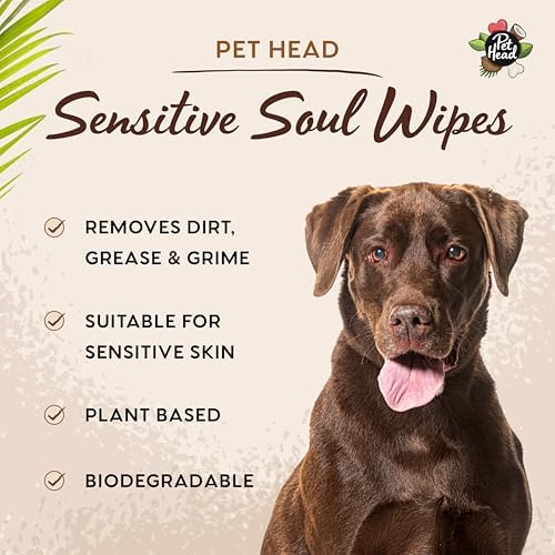 Pet Head Sensitive Soul Dog & Cat Wipes for Paws, Body & Face | 100 Pack