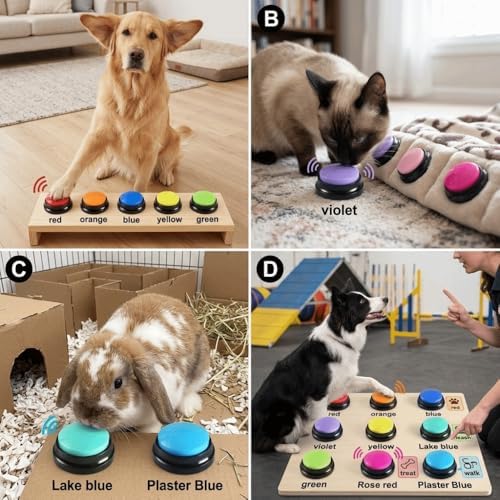 Reusable Dog Training Buttons Recordable Sound Generator for Pet Communication, Durable ABS with 3.15 Inch Design for Small Medium Dogs(Rose Red)