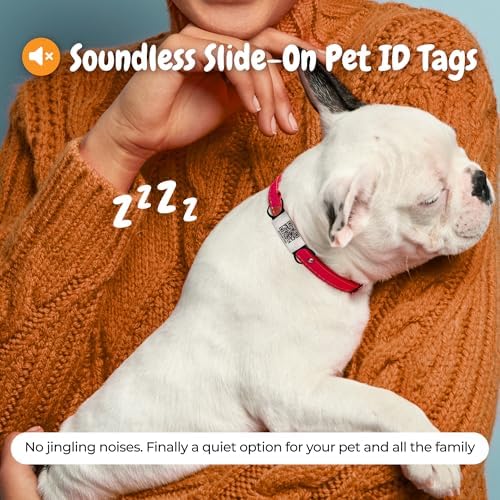 Smart Slide-On QR Code Pet Tag – Silent Dog & Cat ID Tag with Laser Engraving – Stainless Steel & Silicone – No App Needed – Custom Pet Profile – Fits Most Collars (Blue, Extra Large)