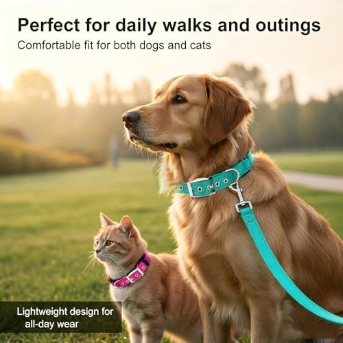 Reflective Dog Collar for XLarge Dogs Wide Padding 6 Holes Adjusta
