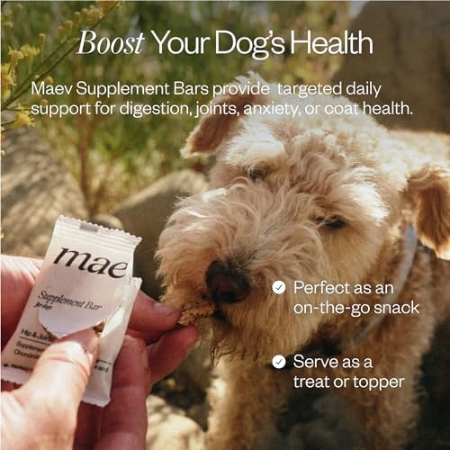 MAEV Human-Grade Anxiety & Calming Supplement Bars | Natural Support for Stress Relief & Calm Behavior, 30 Count (Pack of 2)