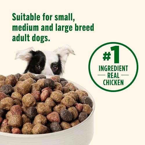 Nutrish Real Chicken & Veggies Recipe Whole Health Blend Dry Dog Food, 14 lb. Bag, Packaging May Vary (Rachael Ray)