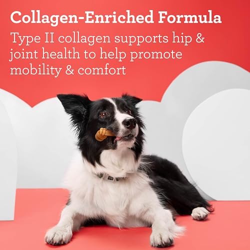 DreamBone CollaYUMS Knots Plus Collagen Rawhide-Free Dog Treats, 8 Count