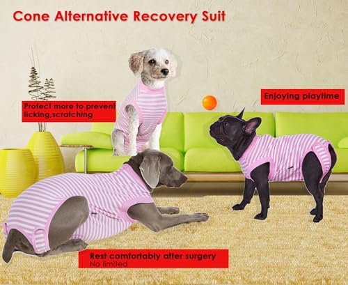 Recovery Suit for Female Dogs, Dog Cone Alternative After Spay