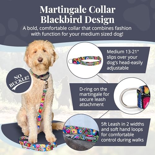 Lucky Love Dog Martingale Collar for Medium Dogs Cute – Blackbird, Medium