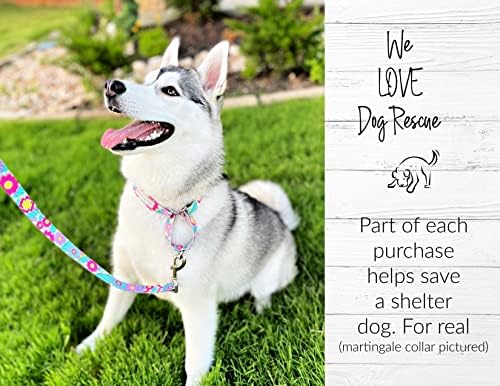 Lucky Love Dog Martingale Collar for Large Dogs No Slip – Caroline, Large