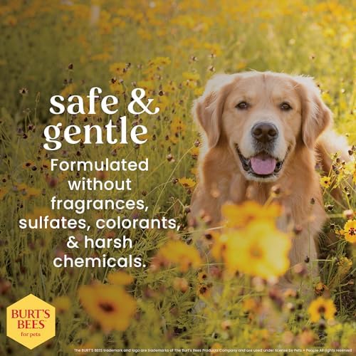 Burt's Bees for Pets Oatmeal Dog Shampoo, Mushroom & Oatmeal, 16 Fl Oz