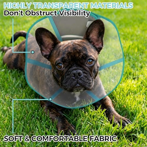 Elizabethan Collar for Dogs, Protective Cone for Surgical Recovery