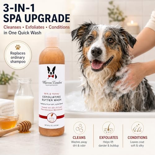 Warren London Exfoliating Butter Wash – Milk & Honey Dog Shampoo, 1-Gallon Pro Size | Cleans, Exfoliates & Deep-Conditions | Jojoba Beads Remove Dandruff & Itch | Dilutable, Non-Oily Shine | USA Made