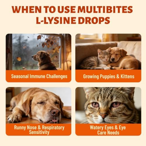 L-Lysine Liquid Drops for Dogs & Cats, Chicken Flavor, 2 oz