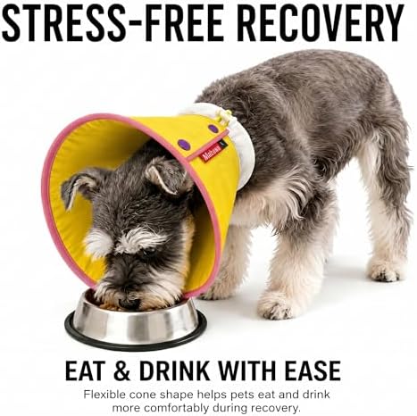 Soft Dog Cone Collar for Dogs & Cats, Adjustable Elizabethan Recovery Collar, Lightweight EPE Material, Post-Surgery Wound Protection (Yellow, L)