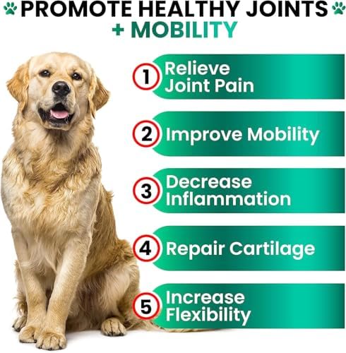 (2 Pack) Hemp Hip and Joint Supplement for Dogs - Glucosamine for Dogs