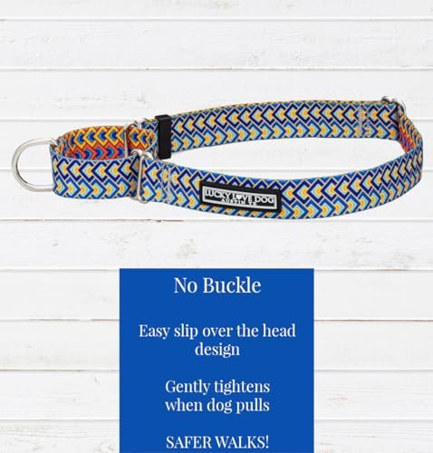 Lucky Love Dog Martingale Collar & Leash Set No Slip Cute – Murphy, Small