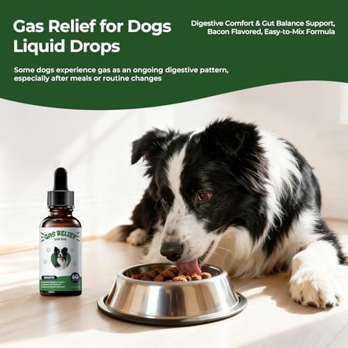 Gas Relief for Dogs Liquid Drops, Digestive Comfort & Gut Balance Support