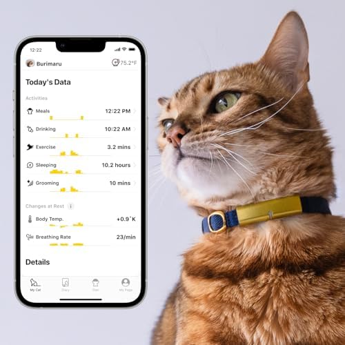 Health Tracker for Cats - Smart Cat Collar with Safety Breakaway Buckle for Indoor Cats, Wellness Alerts, Real-time Monitoring (White×Jasmine,M)