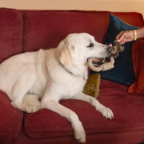 SPOT Dura-Fused Leather Animal Rings - Rope Dog Toy, Made with Real Leather and Jute Fabric, Durable Rope Ring is Great for Tugging and Chewing - 11in, Assorted Styles, 1 Piece