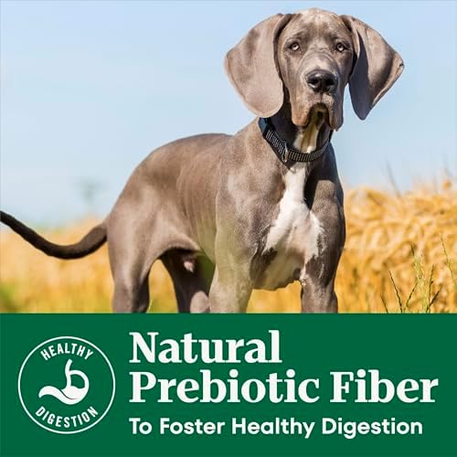 Nutro Natural Choice Puppy Dry Dog Food, Chicken & Brown Rice, 13 lb