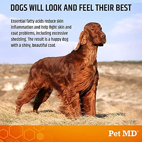 Pet MD Salmon Oil Chews for Dogs - Dog Skin and Coat Supplement - 120ct