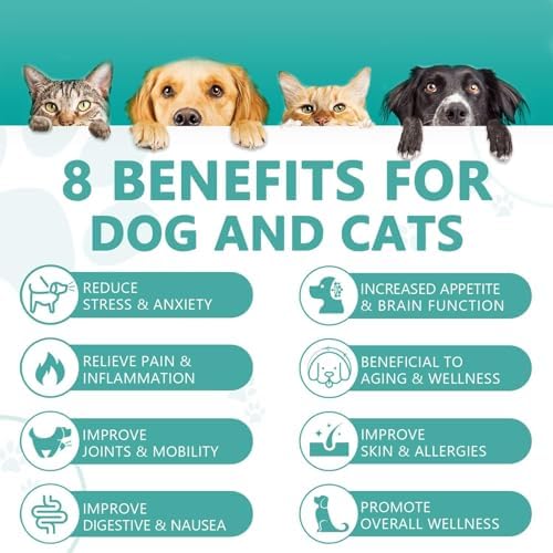 (2 Pack) Max Potency Hemp Oil for Dogs & Cats - Help Anxiety Stress Pain Inflammation Arthritis Aggressive Relax Sleep Allergies Seizures Relief - Treats Chews Joint & Hip - Organic Pet Calming Drops