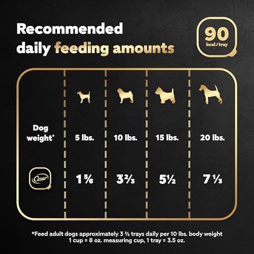 Cesar Classic Loaf in Sauce Adult Wet Dog Food Filet Mignon Flavor, Wet Food for Dogs, 3.5 oz Easy Peel Trays, 24 Count (Pack of 2)