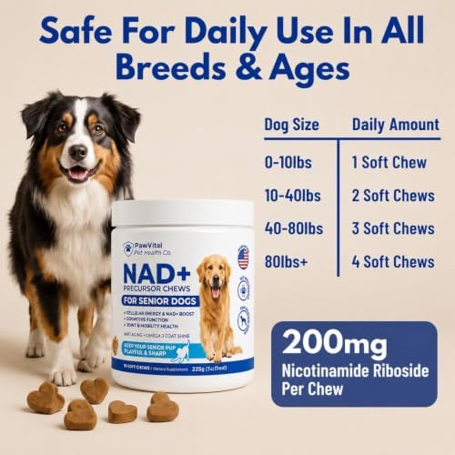NAD+ Precursor Senior Dog Supplement – NMN Alternative Soft Chews for Longevity, Healthy Aging & Cellular Energy – Nicotinamide Riboside (NR), Resveratrol, Quercetin, Glucosamine & Omega-3