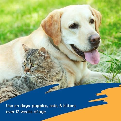 Zodiac Flea & Tick Spray for Dogs, Cats, Puppies & Kittens 16 Fluid Ounces (Pack of 2)