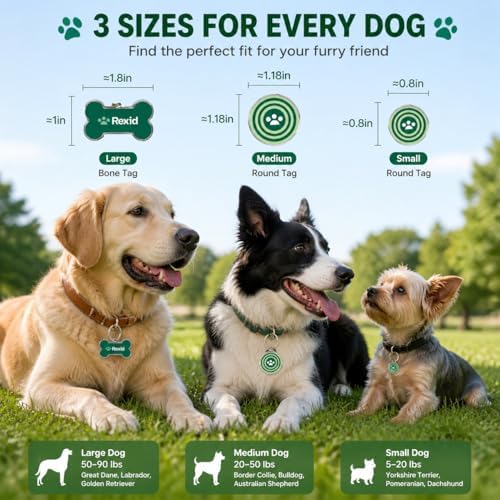 RexID Mini Round Smart Dog Tag – QR Code ID Tag with Online Profile & Owner Contact – Anyone Anywhere Scan Instantly to Reunite – 0.8'' Lightweight & Noise-Free for Puppy&Cat