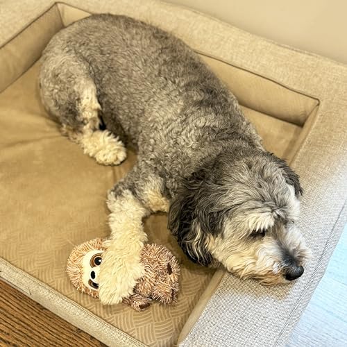 SPOT Fun Sloth Dog Toy - Soft, Stuffed, Squeaky, Plush Fabric Toy for Mini and Small Dogs and Puppies, Enrichment for Light Chewers and Cuddlers, 7in